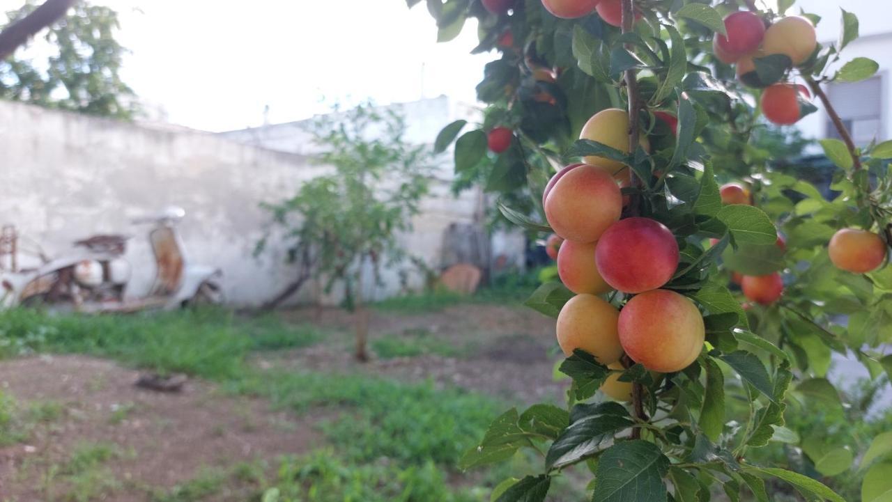 Jonia Appartamento Vacanze Vicino Al Mare Con Giardino Pulsano Luaran gambar